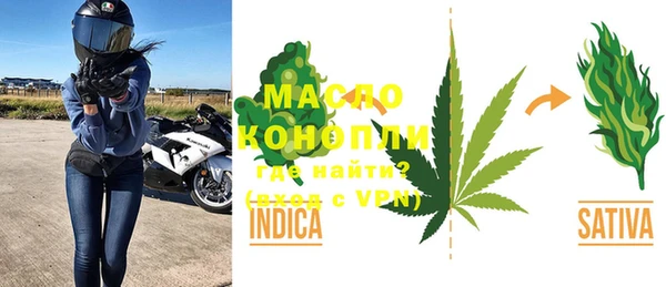 индика Зеленодольск