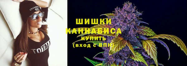 индика Зеленодольск