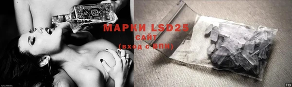 индика Зеленодольск