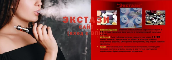 индика Зеленодольск