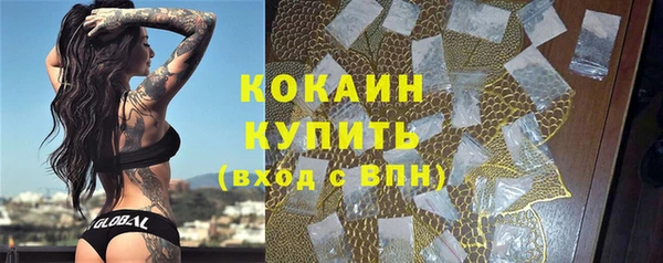индика Зеленодольск