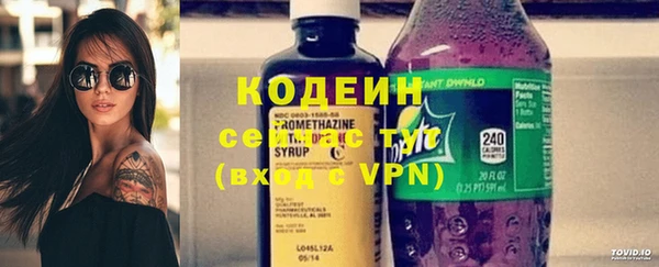 индика Зеленодольск