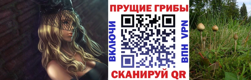 Псилоцибиновые грибы мицелий  Купить  Руза 